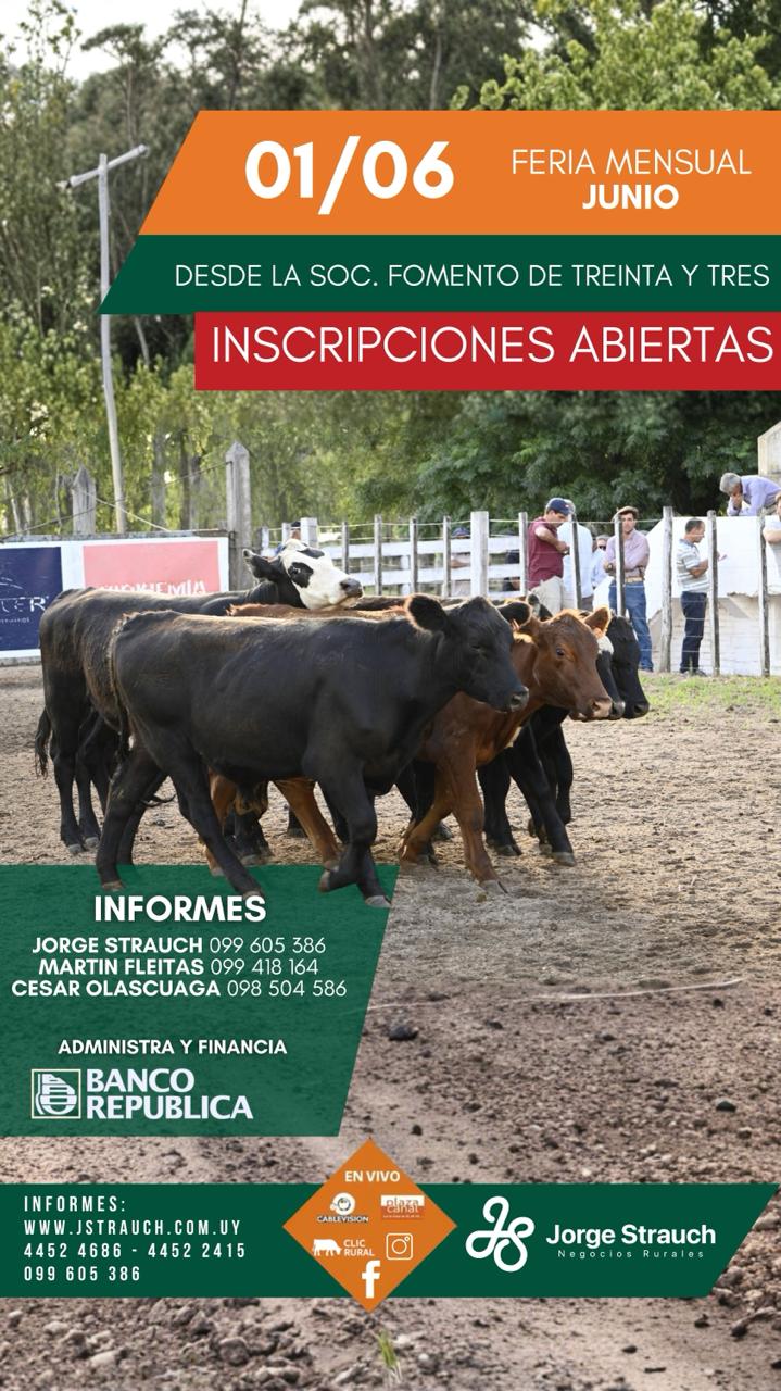 Remate Feria Mensual - Jorge Strauch