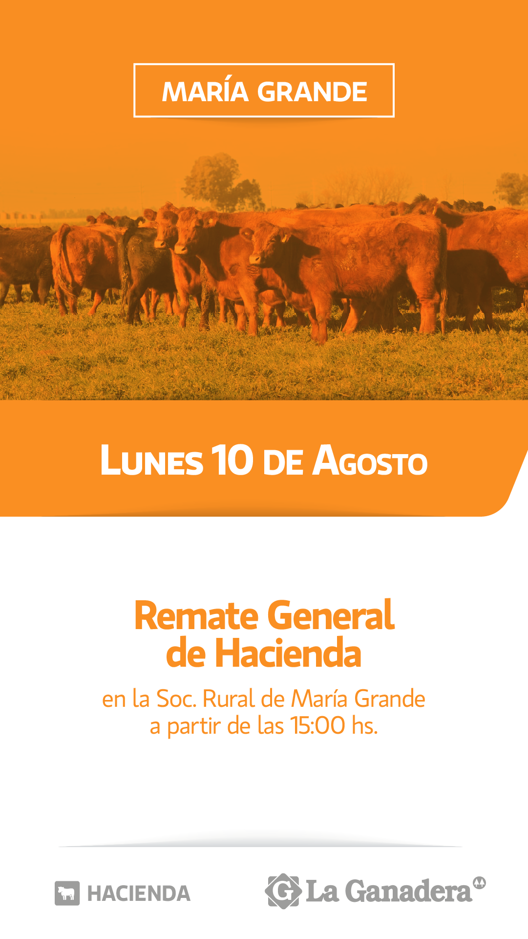 Remate REMATE FERIA EN SOCIEDAD RURAL DE MARÍA GRANDE