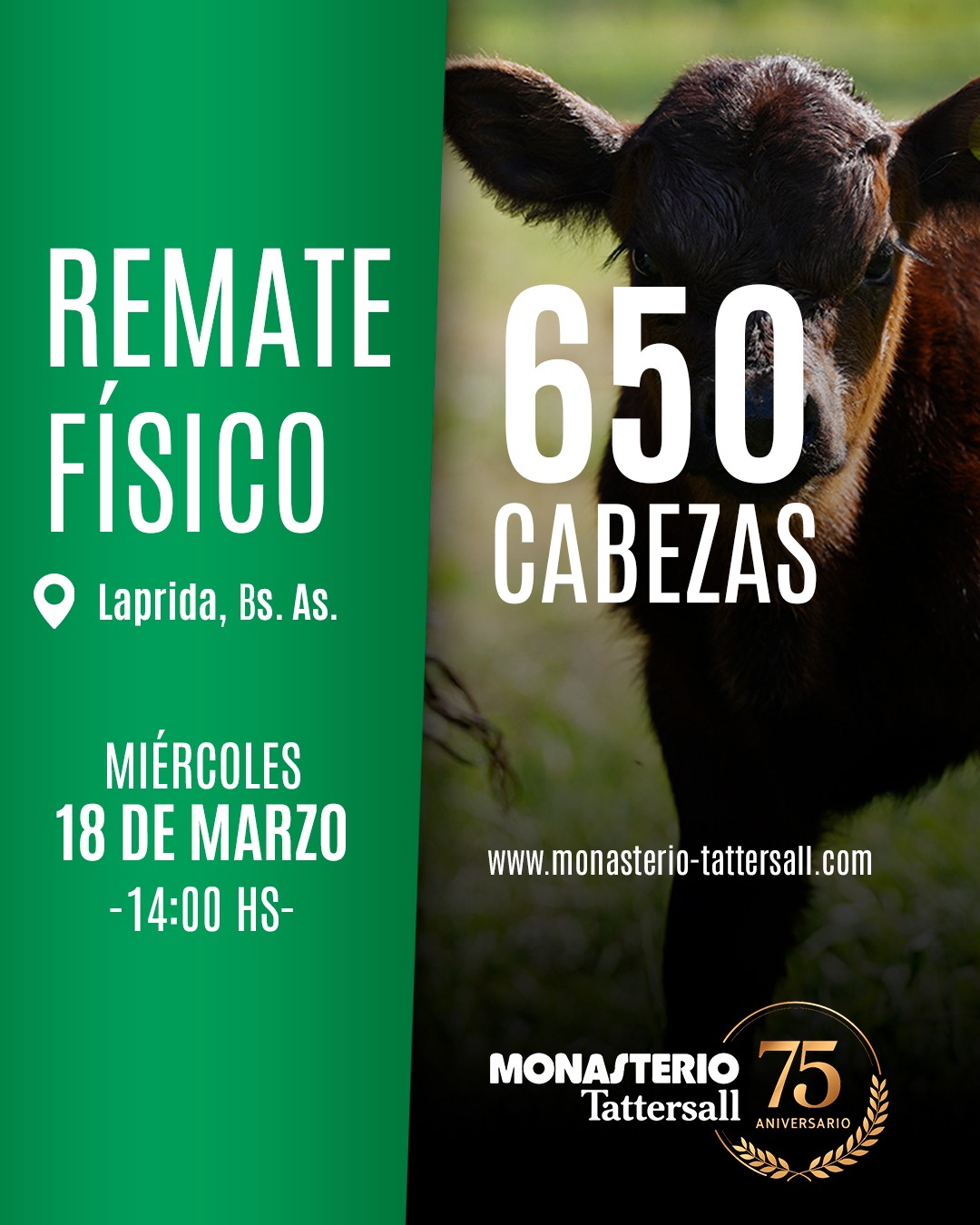 Afiche Remate Físico Laprida