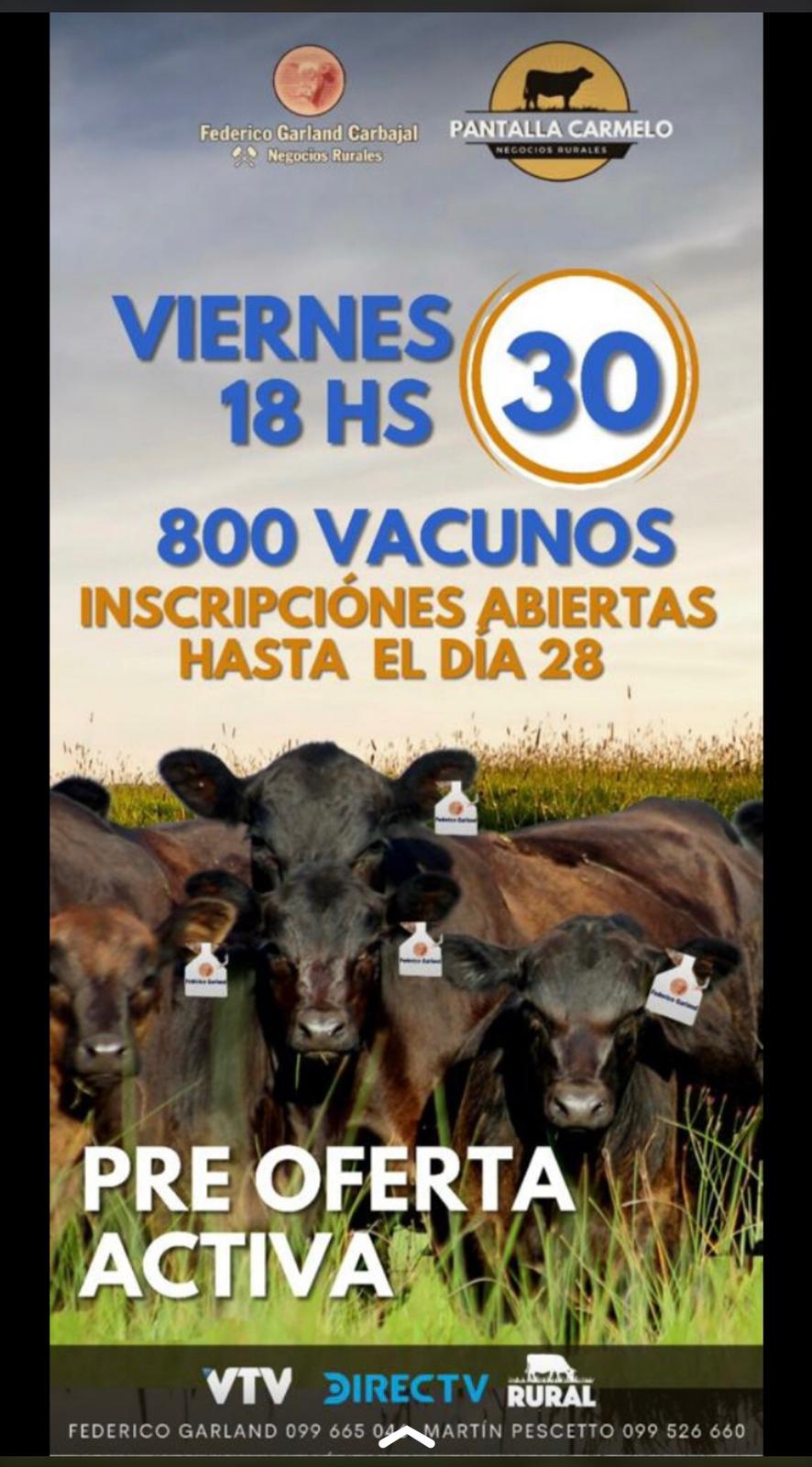 Afiche Pantalla Carmelo