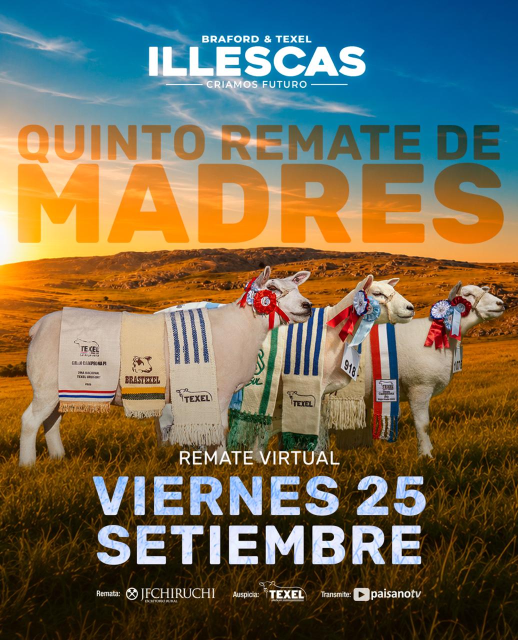 QUINTO REMATE DE MADRES - CABAÑA ILLESCAS
