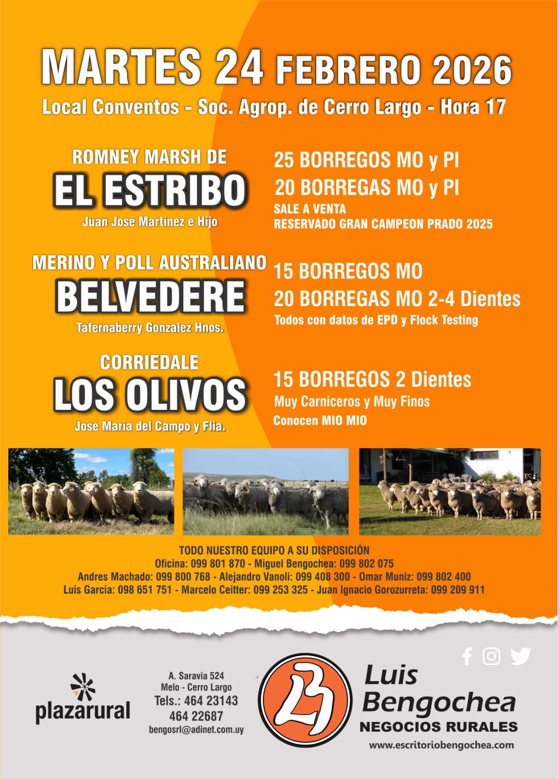 Remate El Estribo y Belvedere