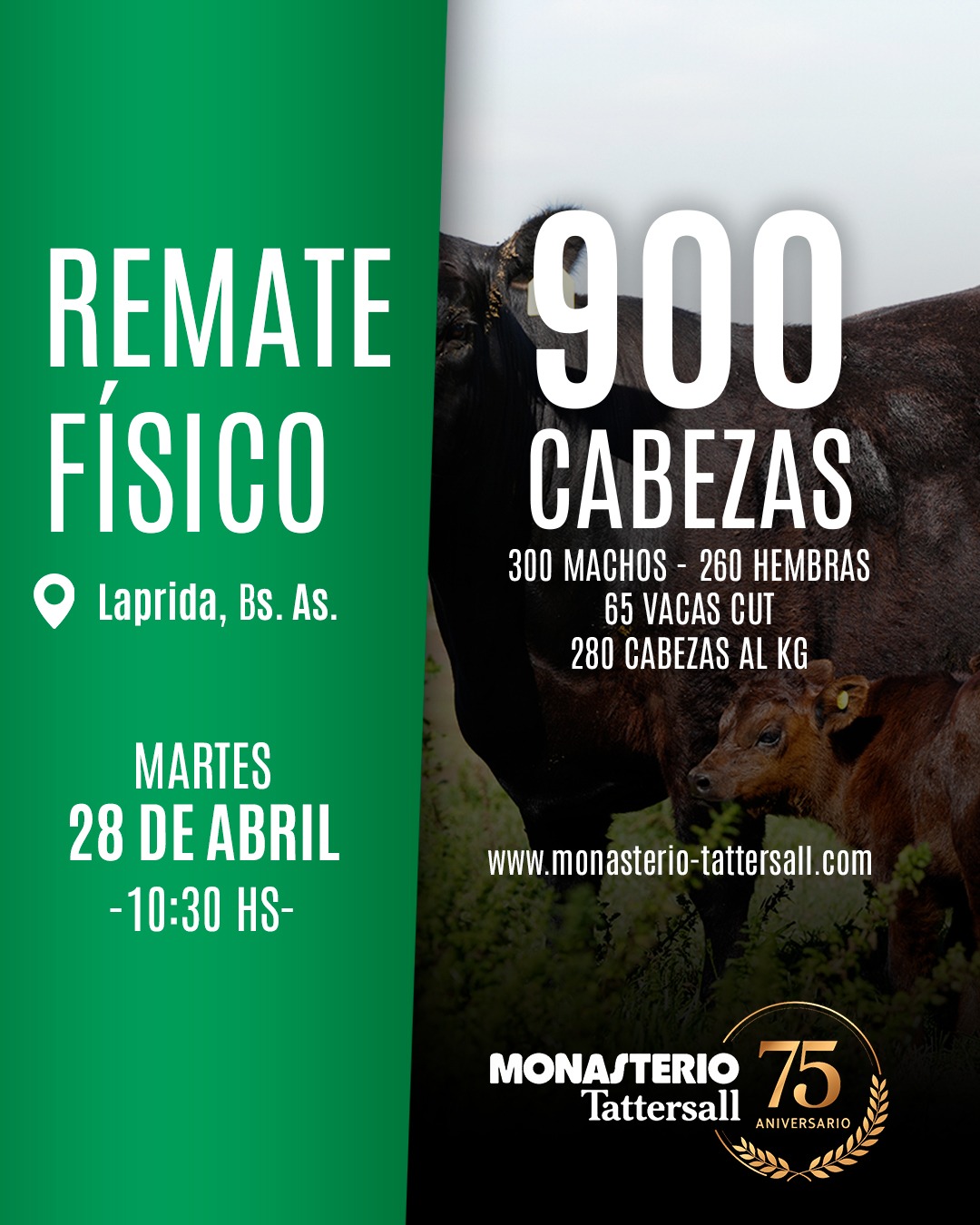 Remate Físico Laprida