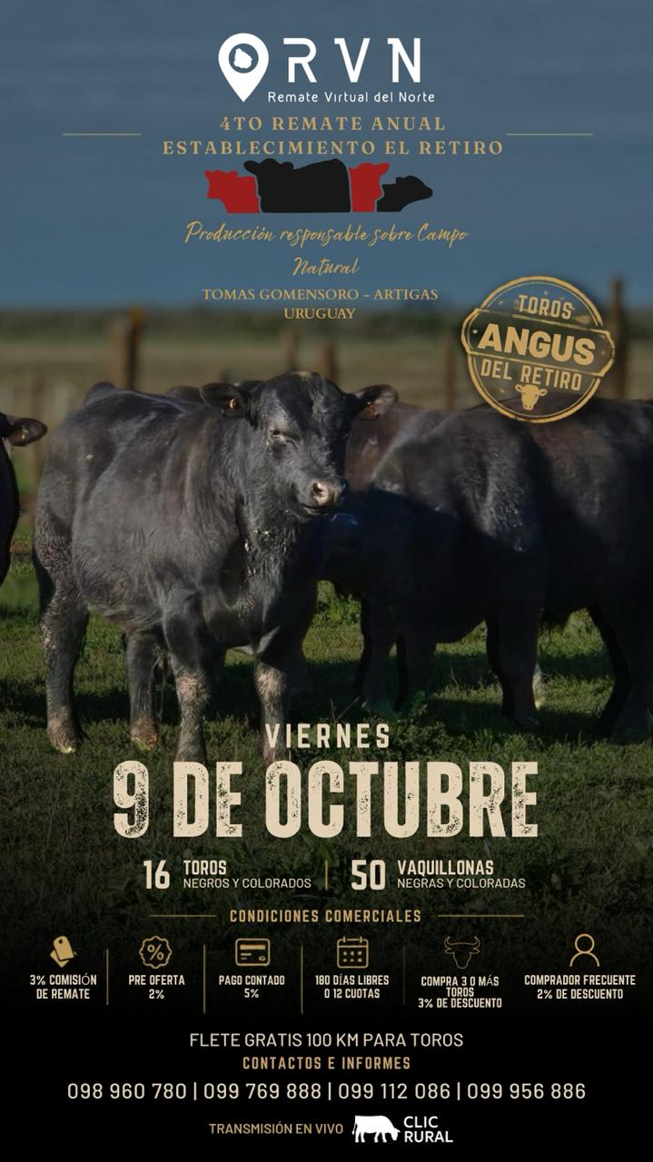 Remate 4º Establecimiento El Retiro