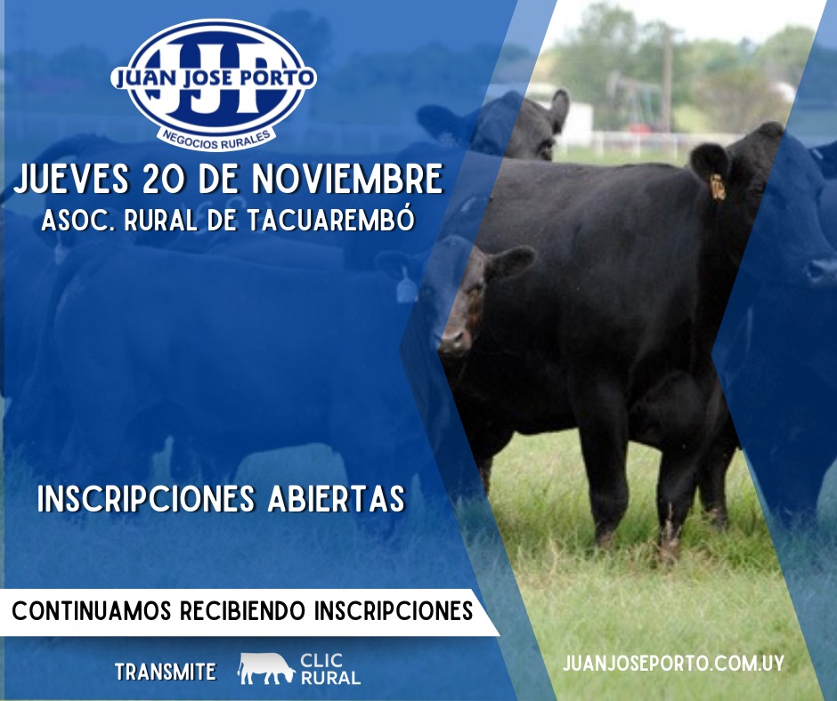 Feria Mensual - Juan Jose Porto