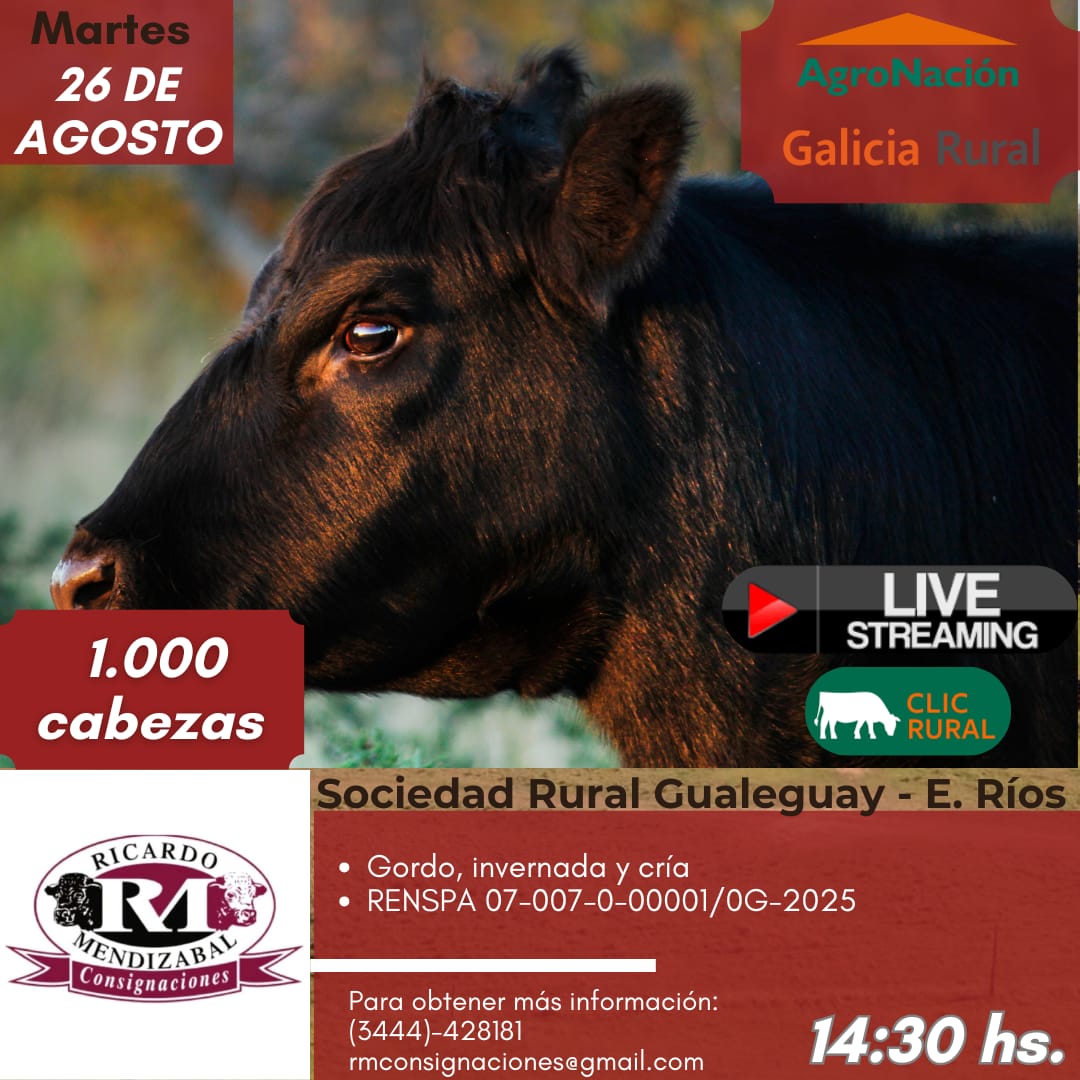 Remate 26 de Agosto - Gualeguay