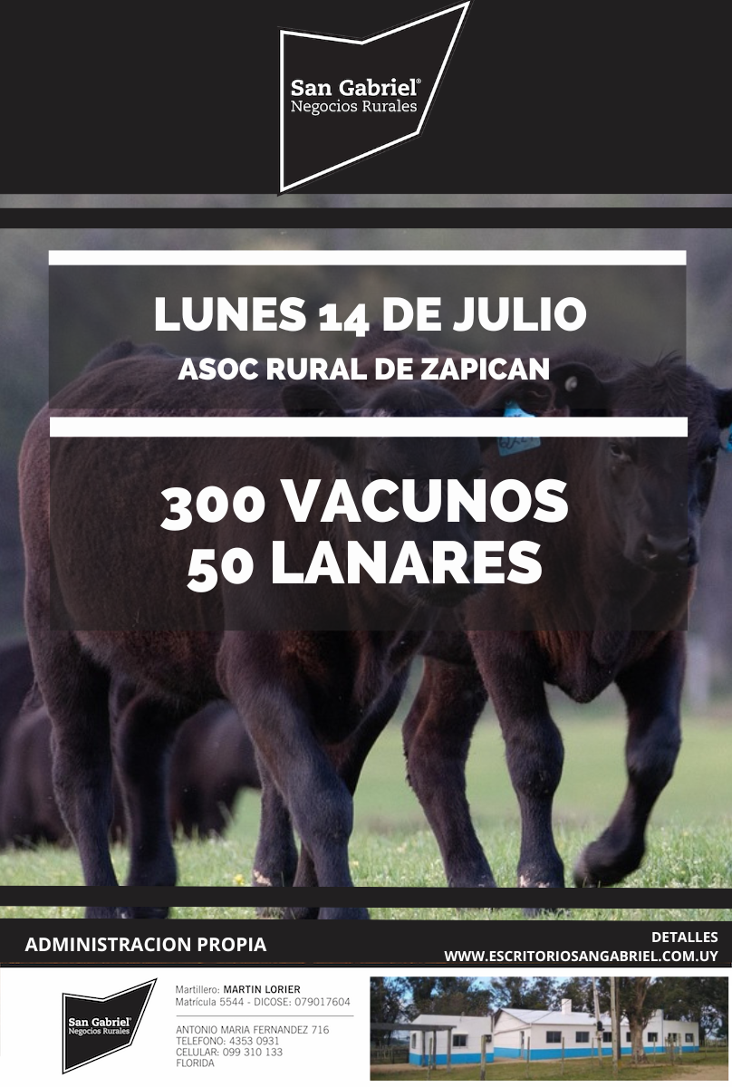 Afiche Feria mensual - Asoc. Rural de Zapican