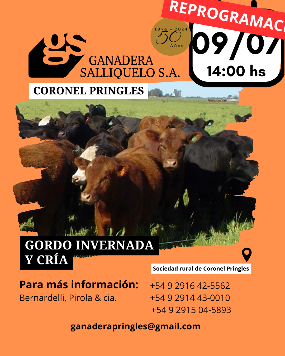 Remate REMATE EN CORONEL PRINGLES