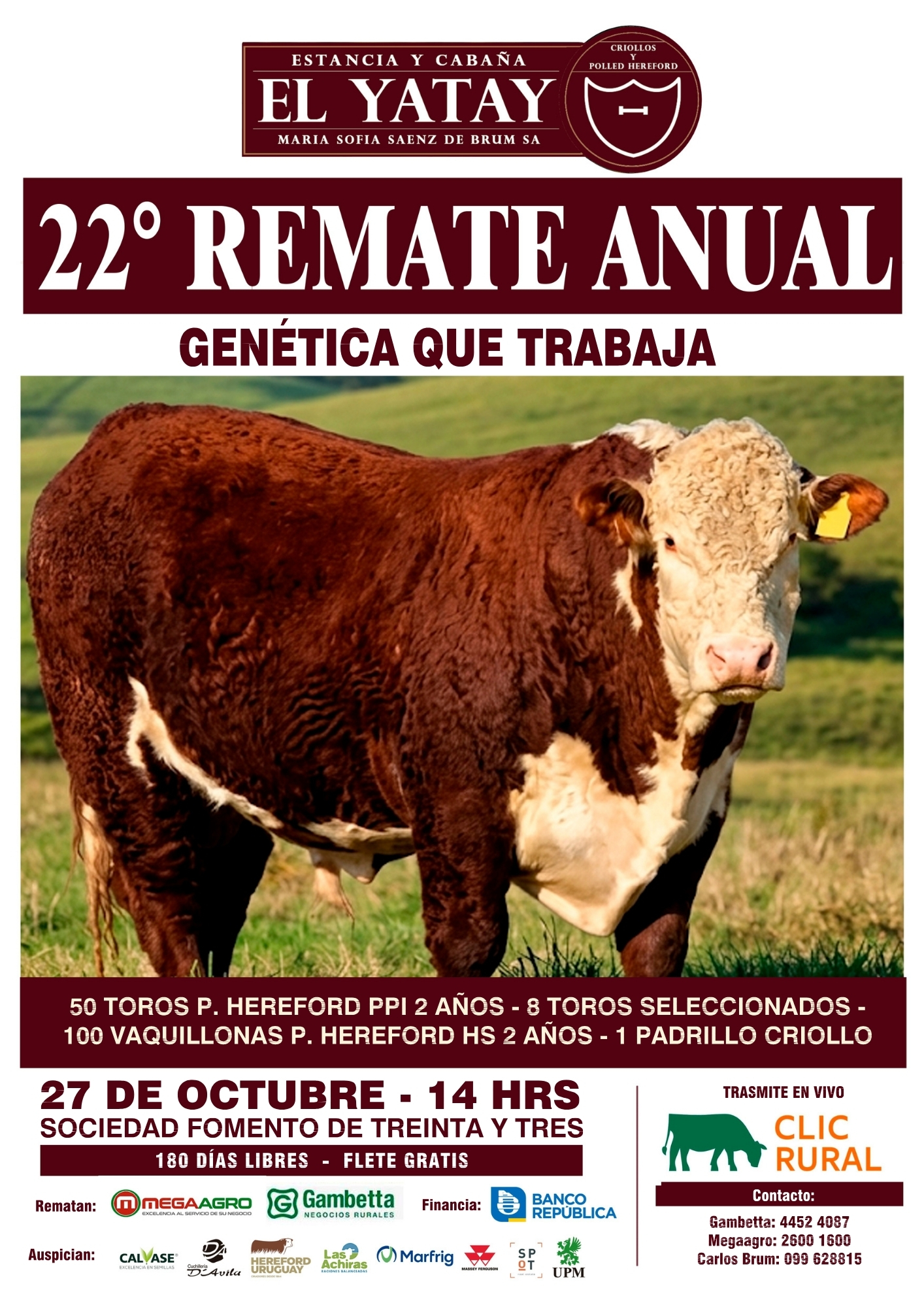 Remate 22º El Yatay