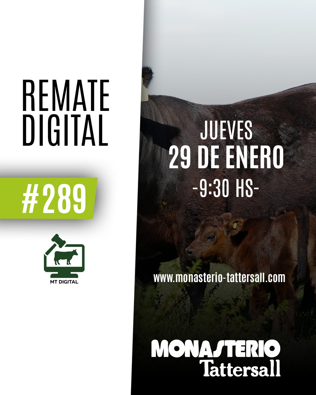 Remate Remate digital 289°
