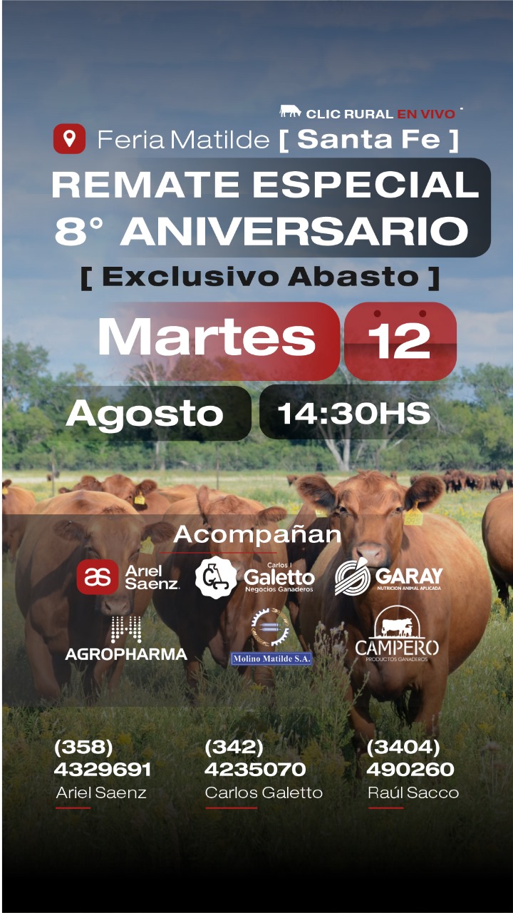 Remate 12 de Agosto - Matilde