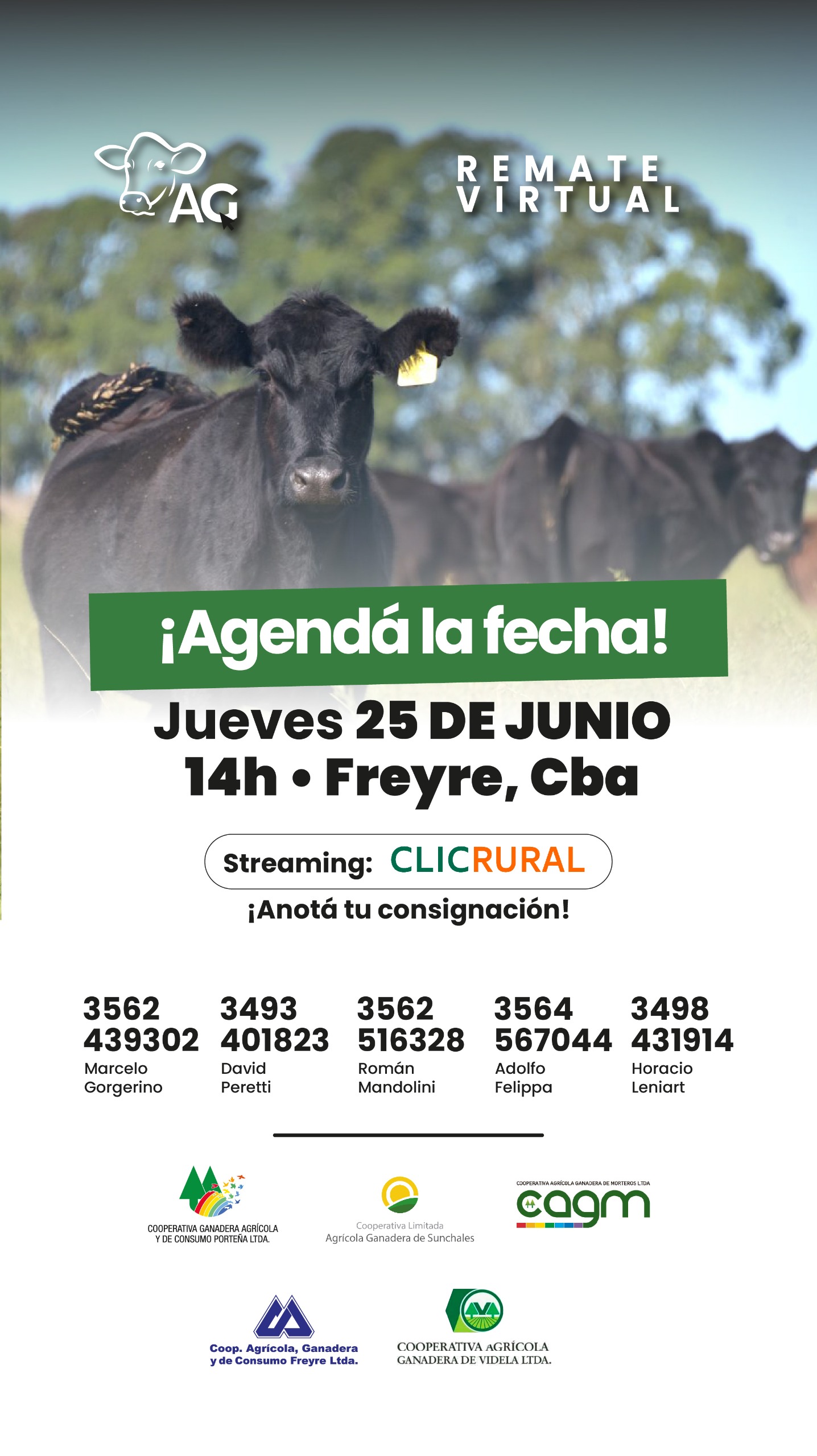 Remate Remate Virtual - Alianza Ganadera - Freyre Córdoba