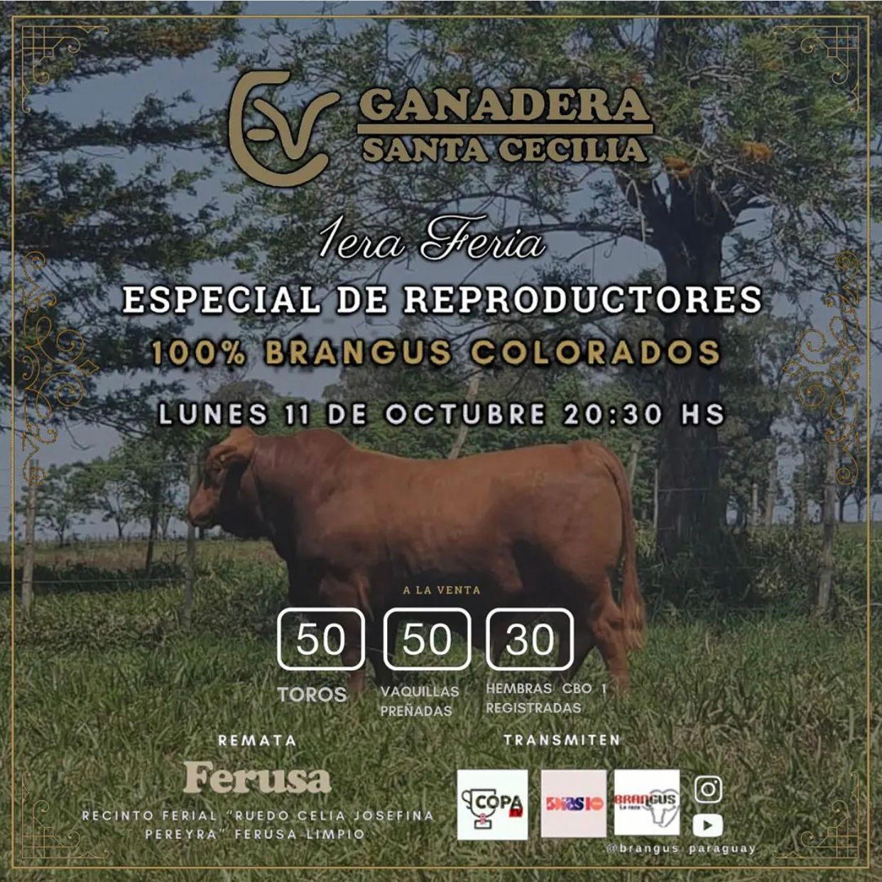 Afiche SANTA CECILIA