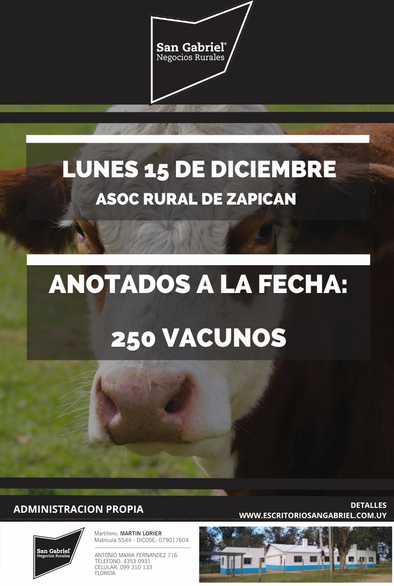15 DE DICIEMBRE - Asoc. Rural de Zapicán