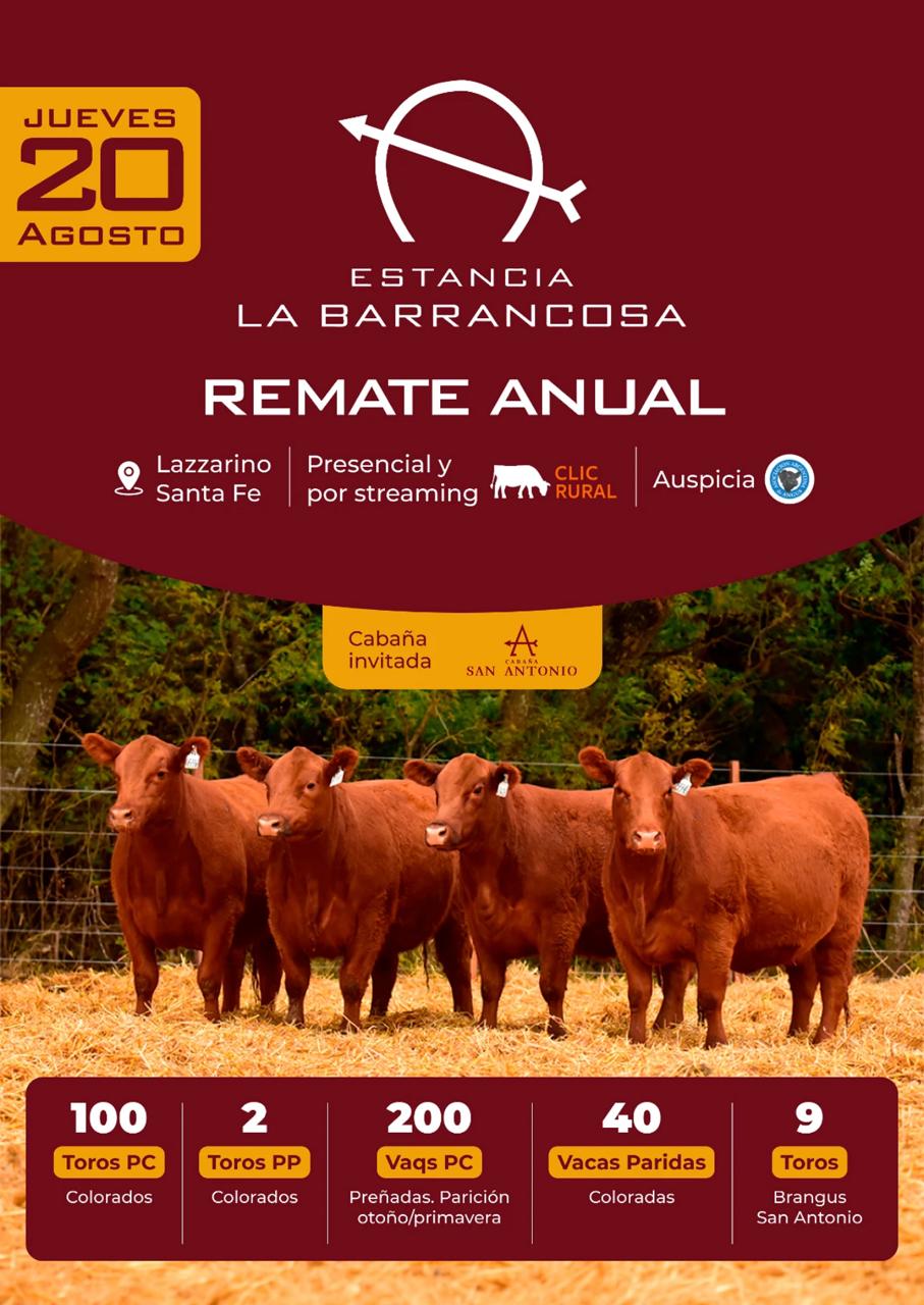 Remate Remate anual