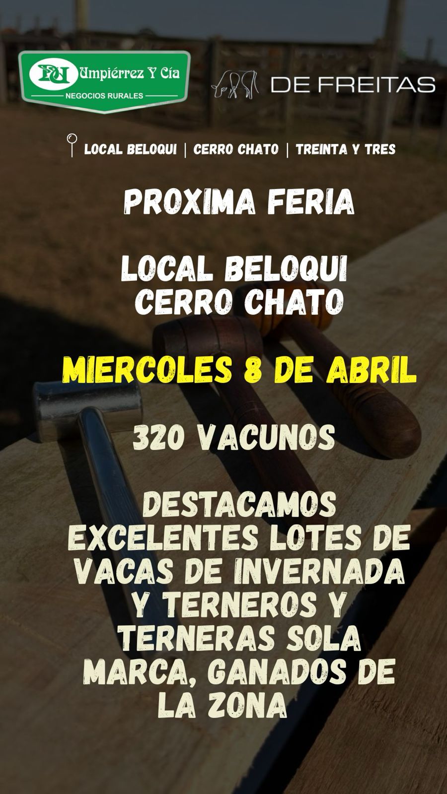 Feria Mensual - Umpierrez y Cia