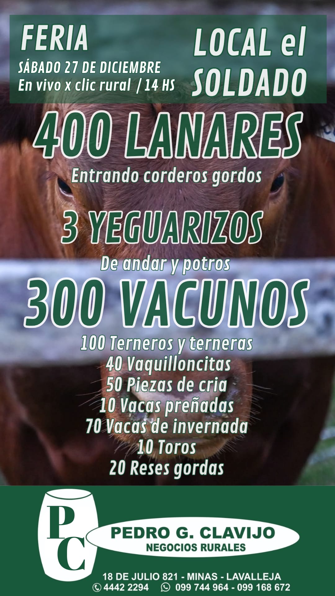 Afiche Feria Mensual - Soldado