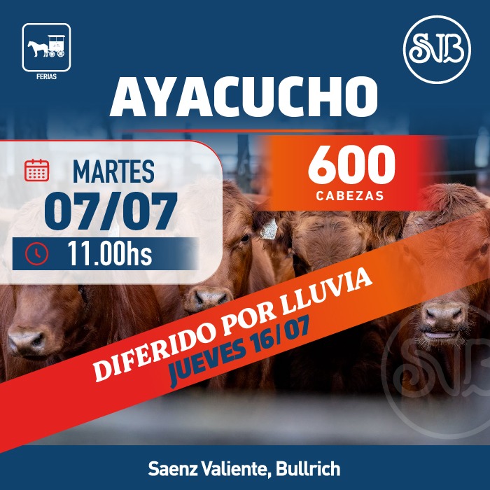 Feria en Ayacucho
