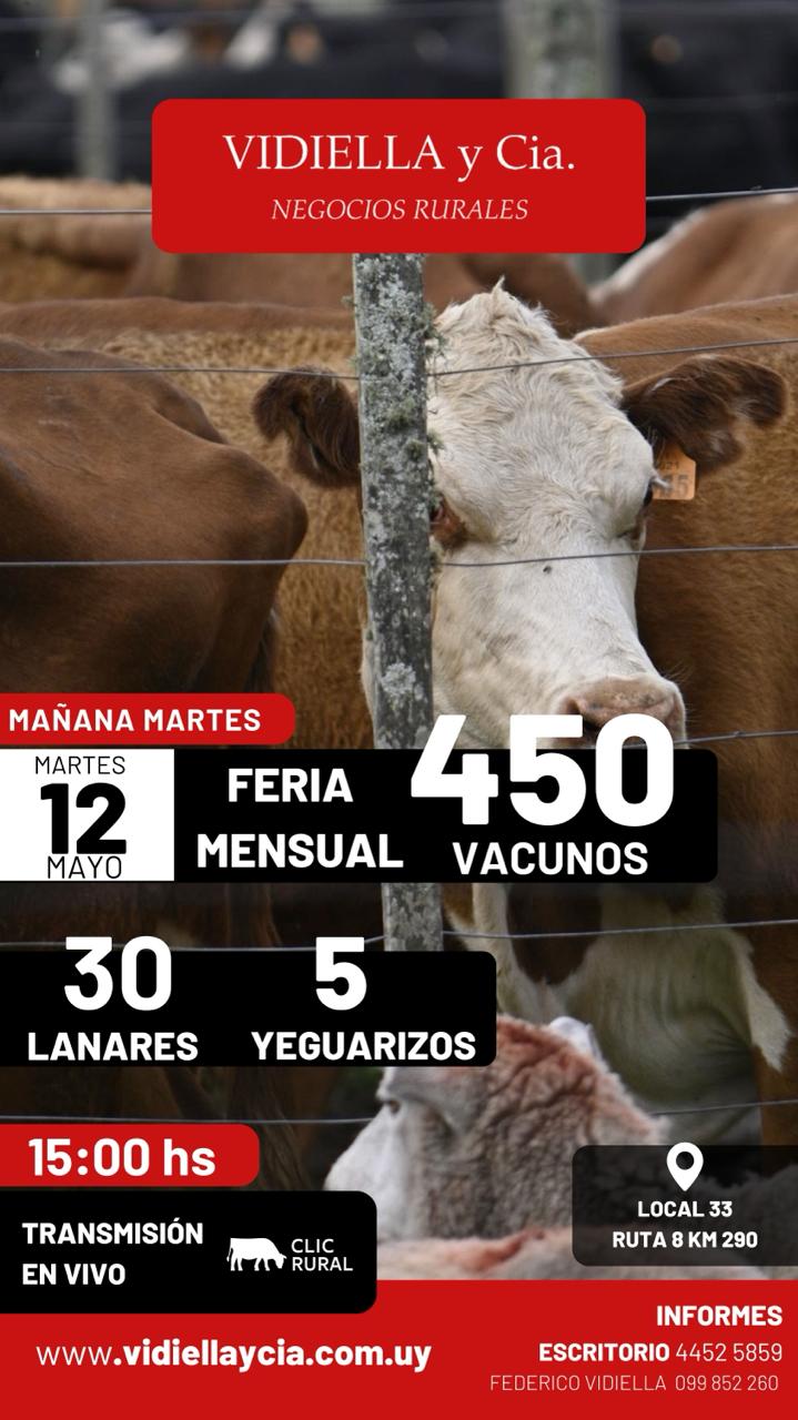Remate Feria Mensual - Vidiella y Cia