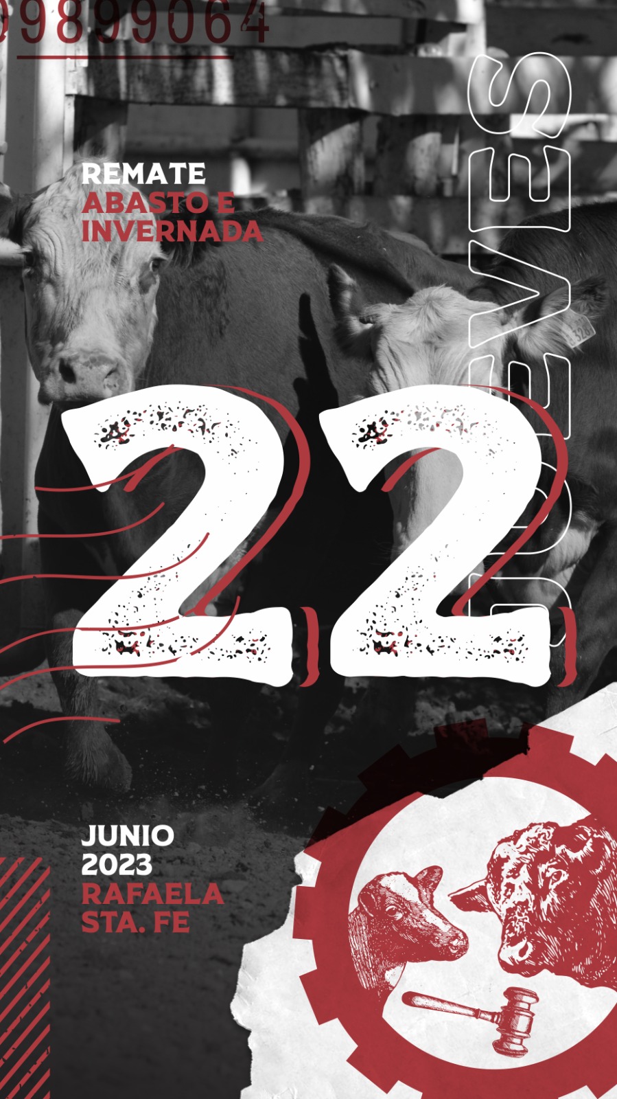 Afiche Remate Rafaela