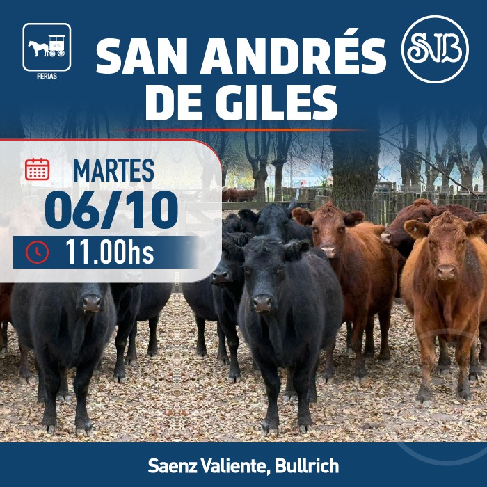Remate Feria en S.A. de Giles