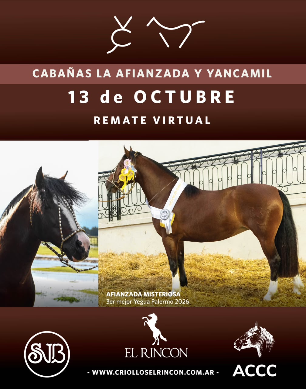 Afiche Remate virtual Cabañas La Afianzada y Yancamil