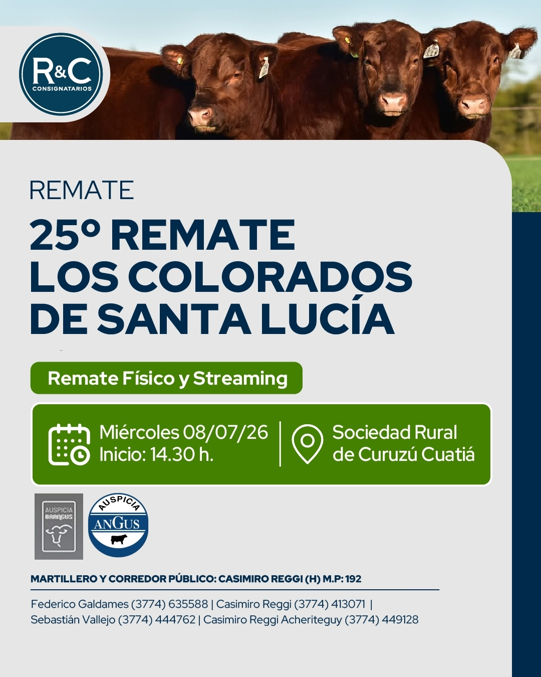 25° Remate Los colorados de Santa Lucia 