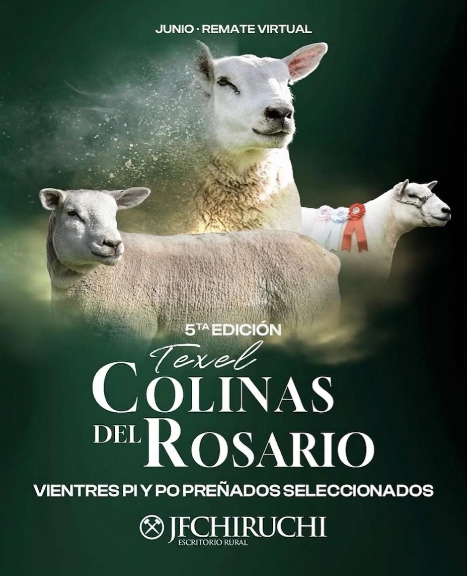 Remate 5to Remate Anual - Colinas del Rosario