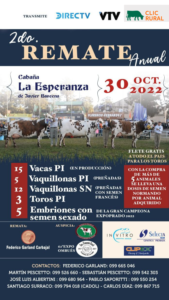 Afiche Expo Ombúes