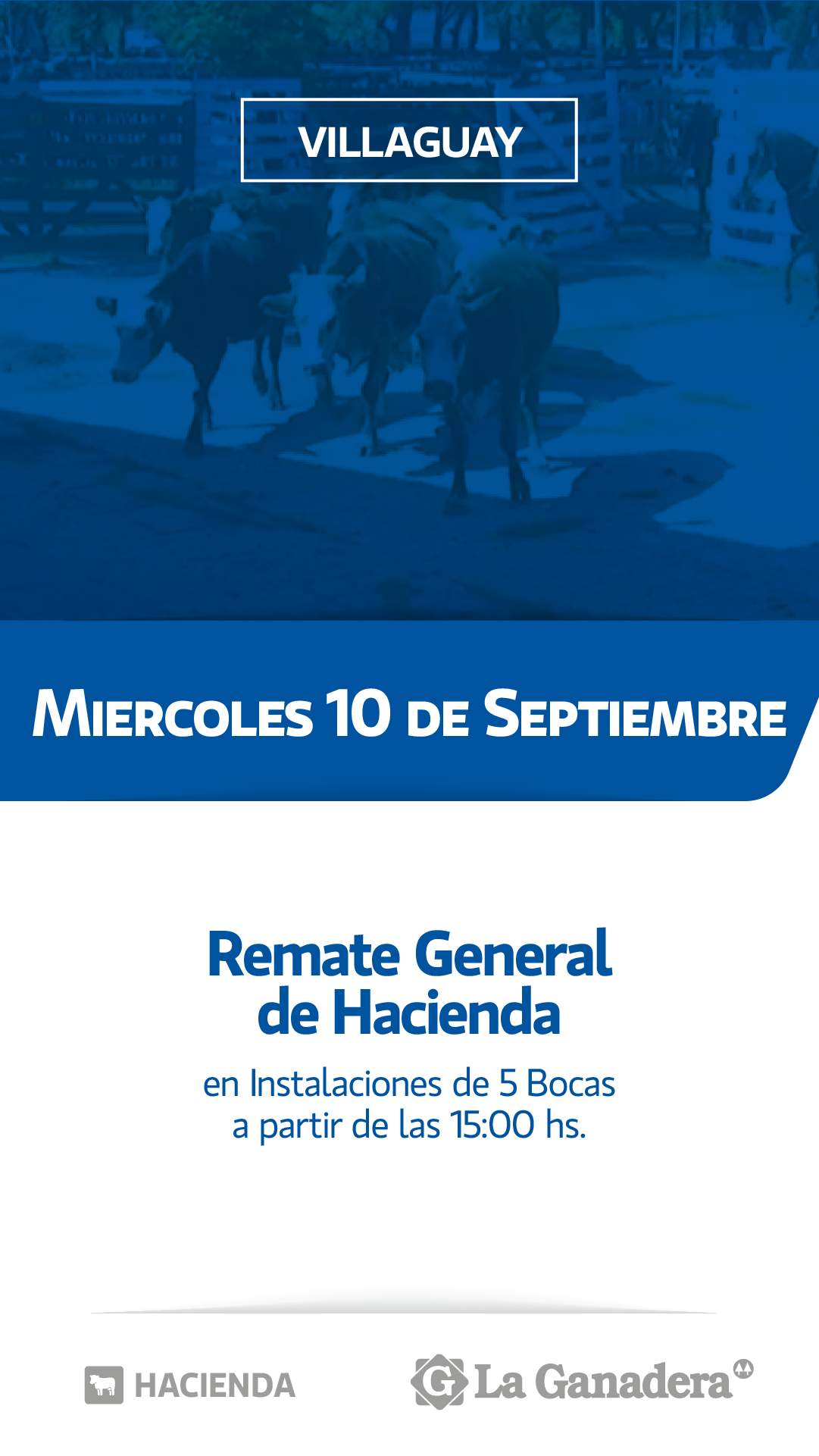 REMATE FERIA 5 BOCAS - PASO DE LA LAGUNA
