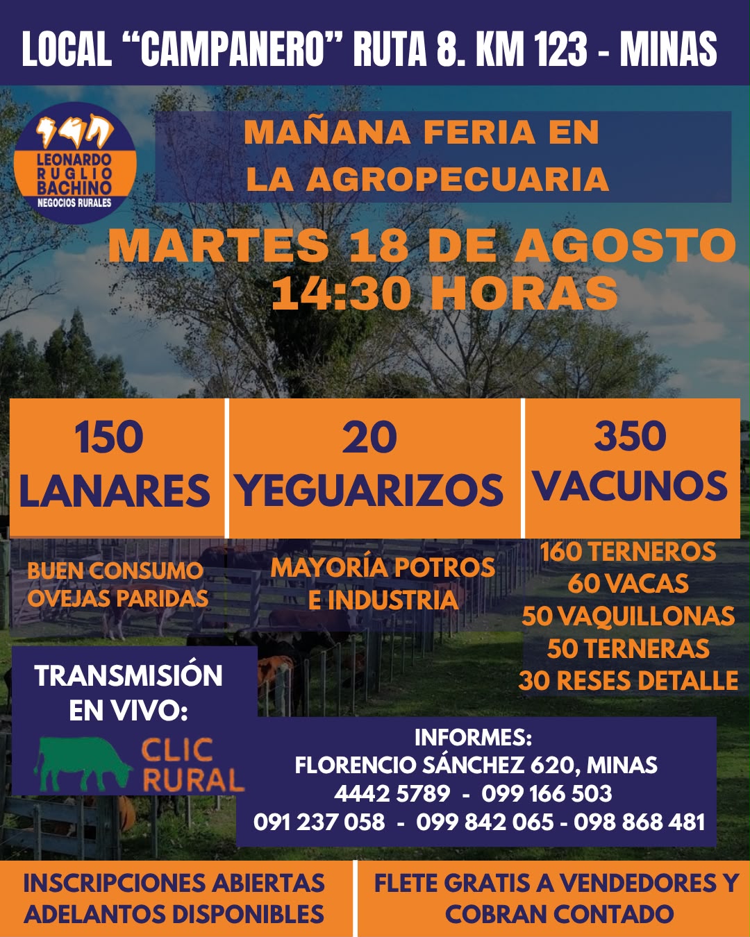 Remate Feria mensual - Leonardo Ruglio Bachino