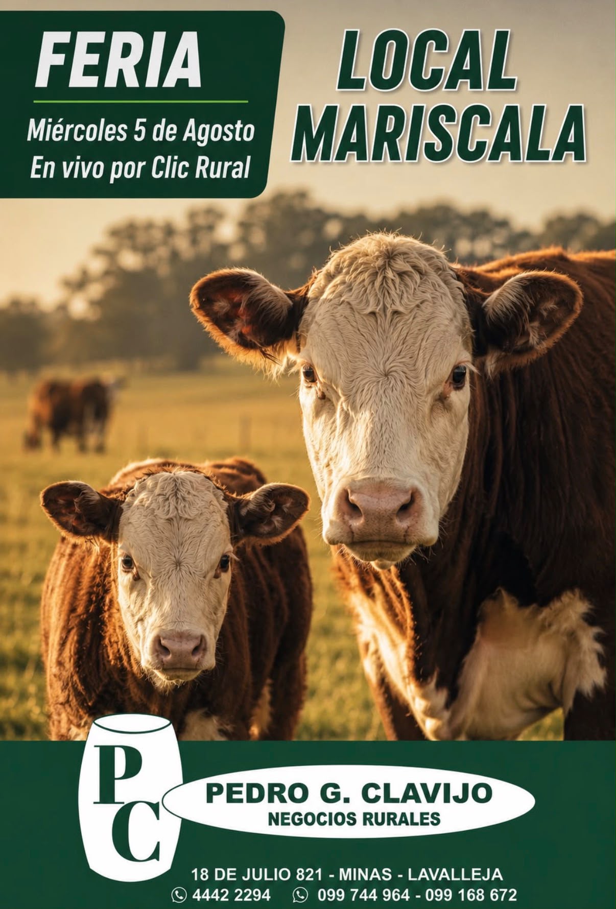 Feria mensual - Pedro G Clavijo