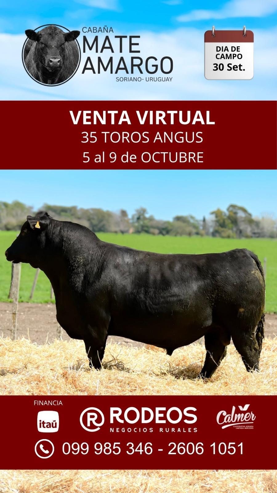 Afiche Subasta Virtual Mate Amargo