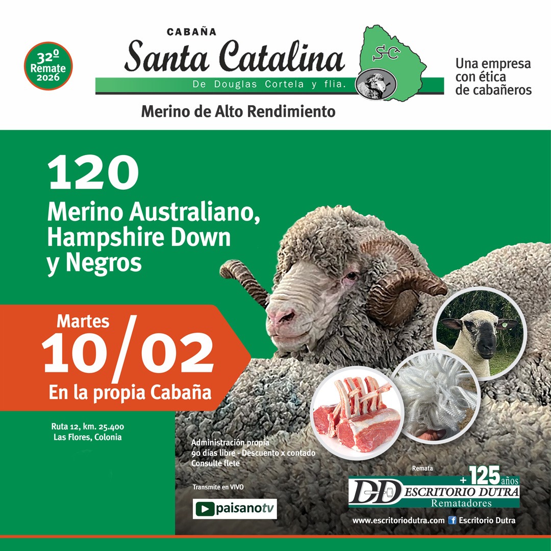 Santa Catalina de Douglas Cortela