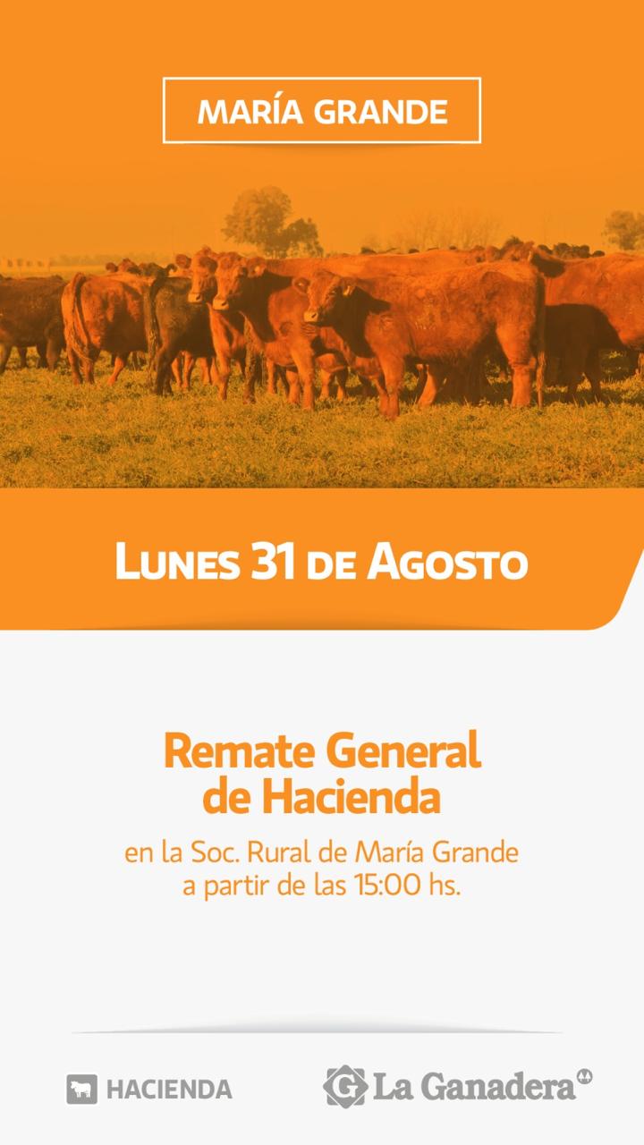 REMATE FERIA EN SOCIEDAD RURAL DE MARÍA GRANDE