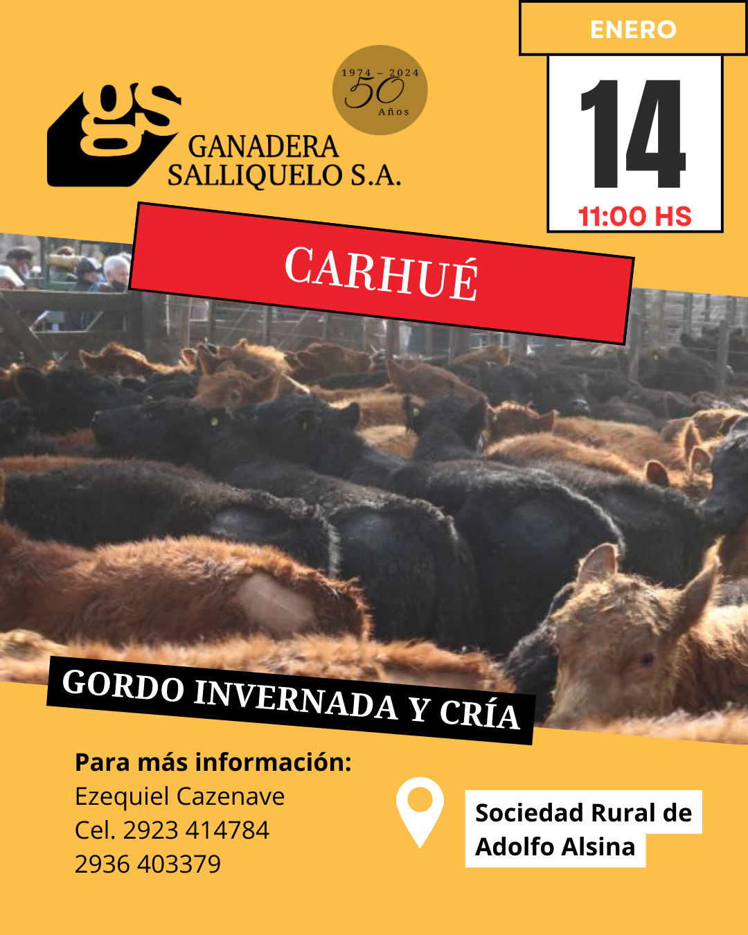 Remate REMATE FERIA EN CARHUÉ - Gordo, Invernada y Cría