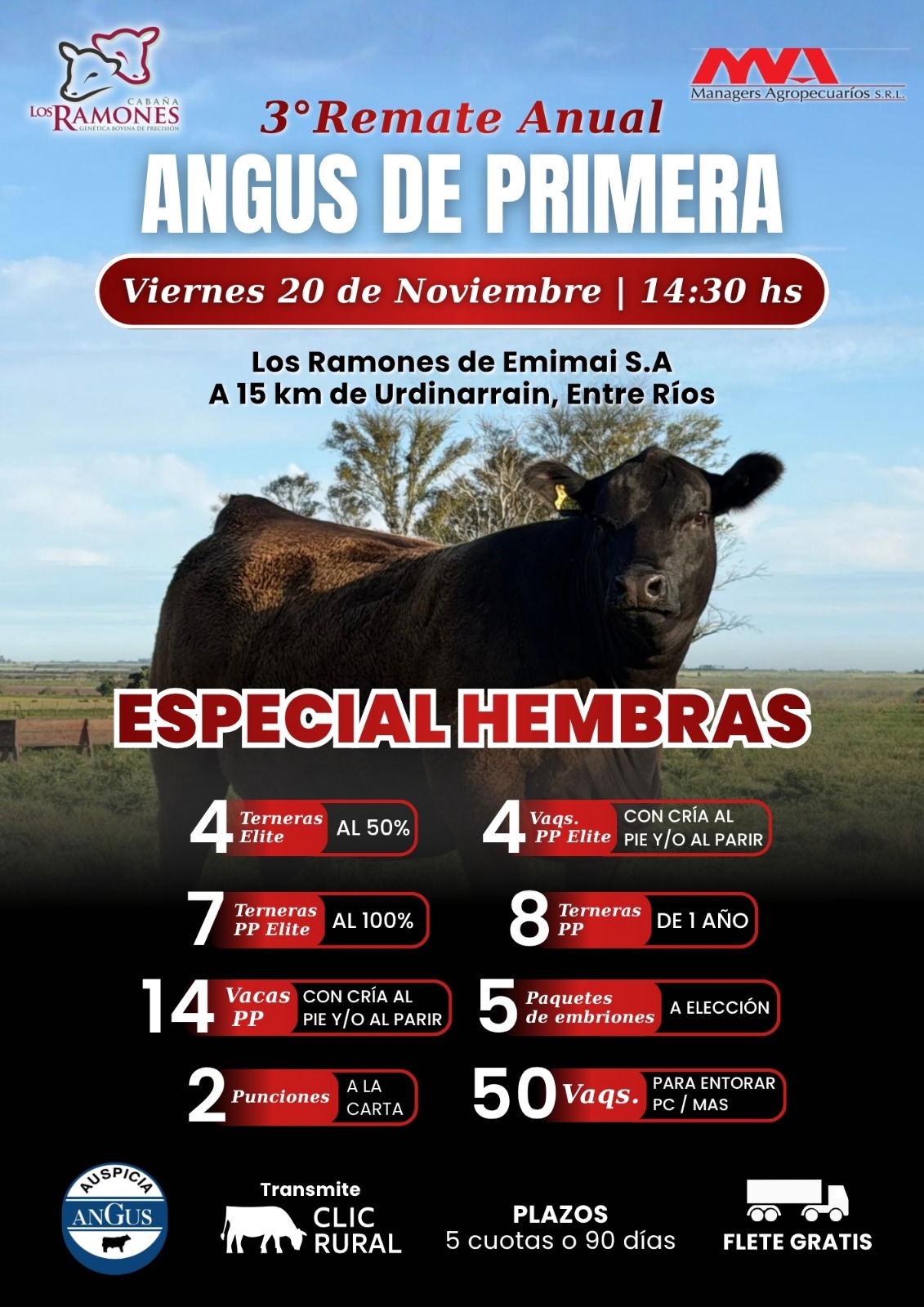 Afiche 3er Remate anual Angus de primera