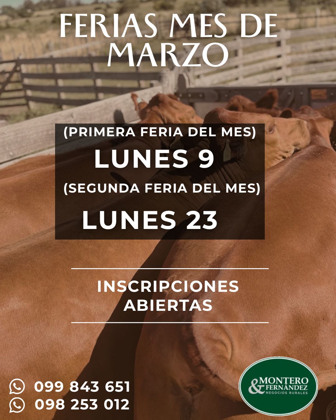 Remate Segunda feria del mes - Montero Fernandez