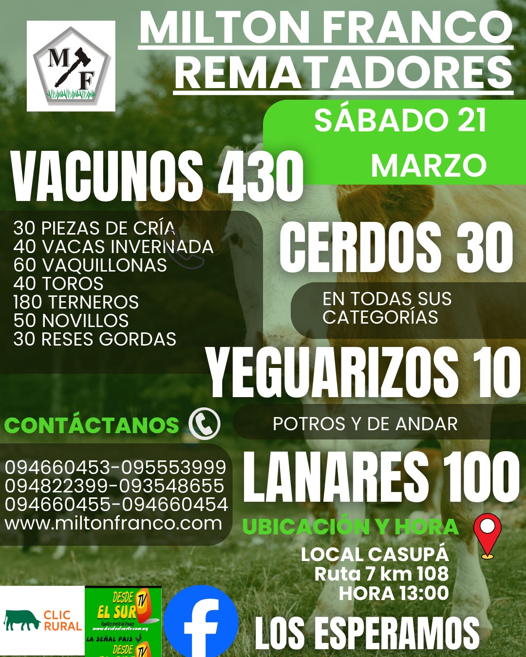 Feria Mensual - Milton Franco