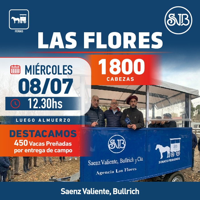 Feria en Las Flores