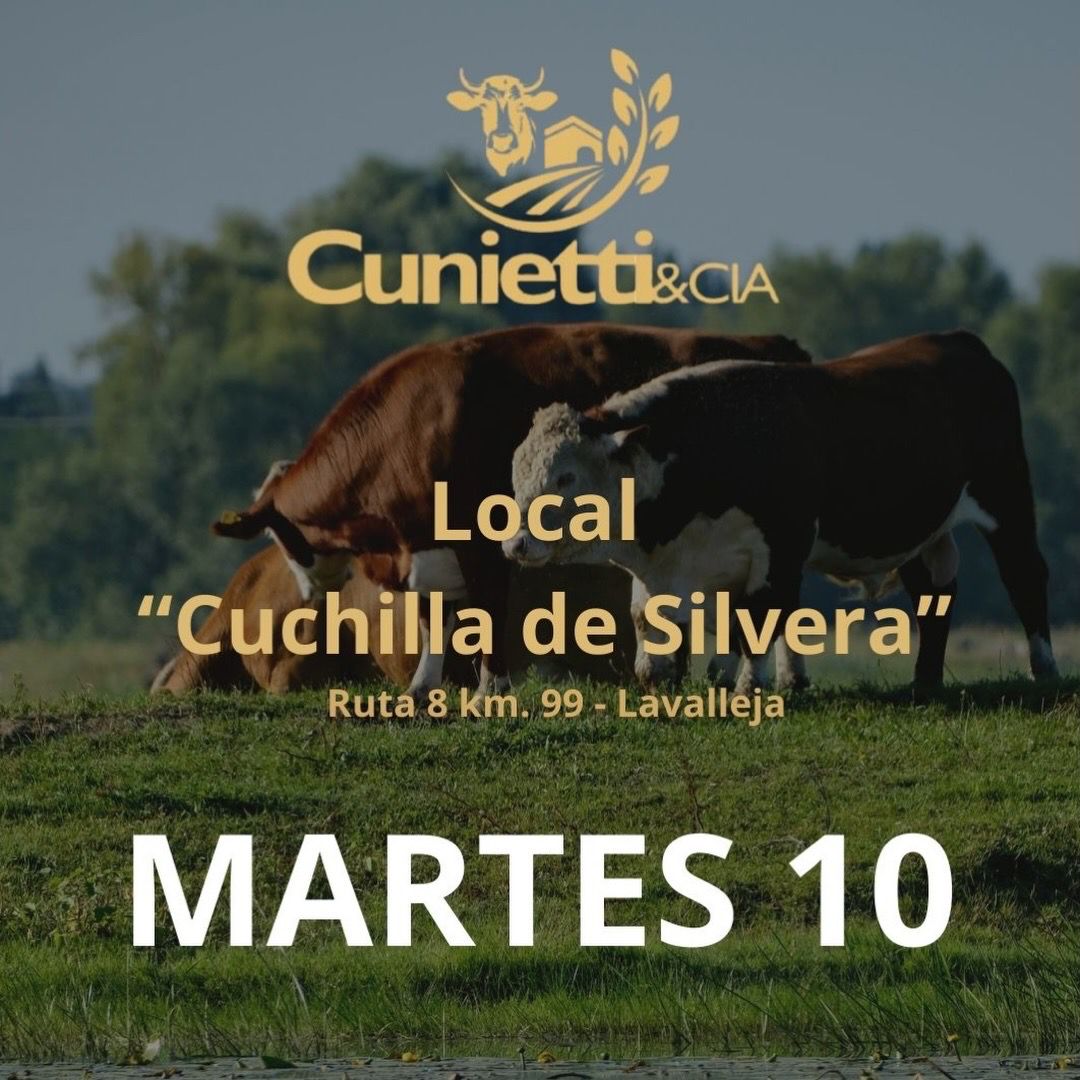 10 de Febrero - Local Cuchilla de Silvera