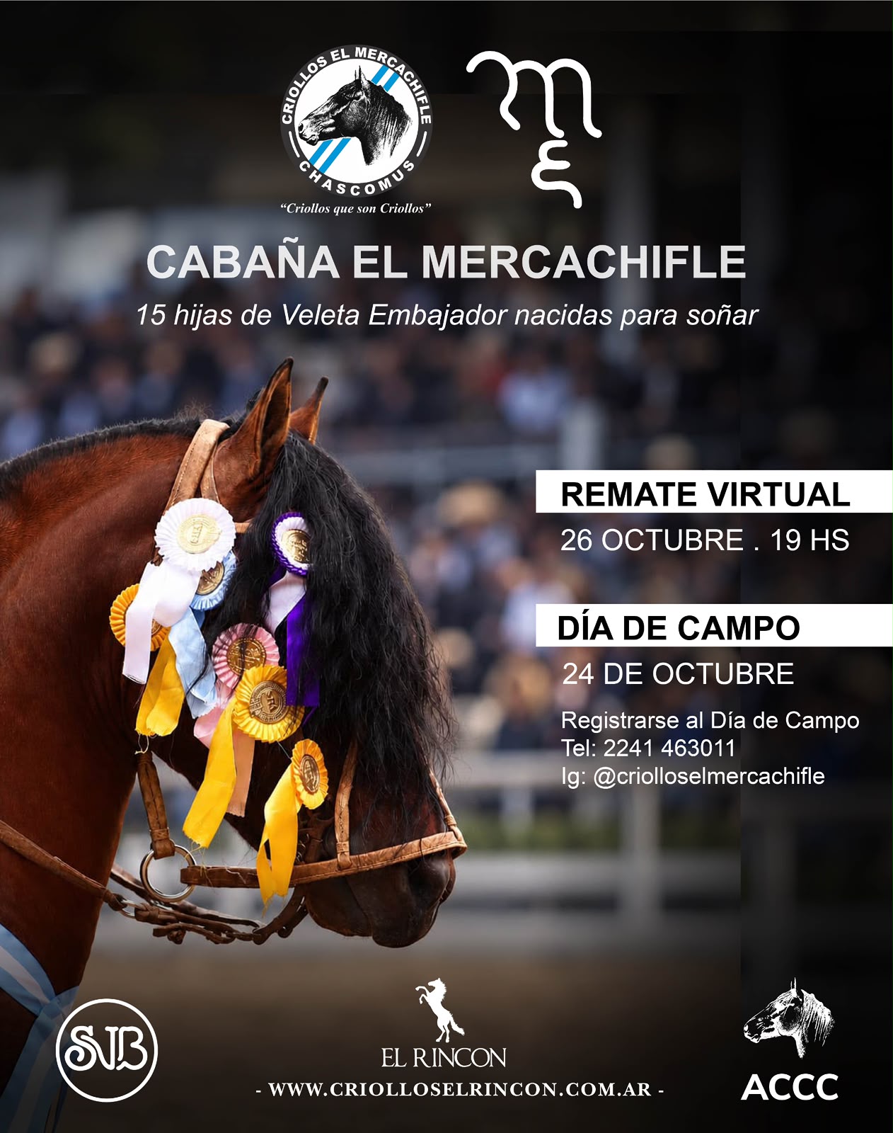 Afiche Cabaña El Mercachifle