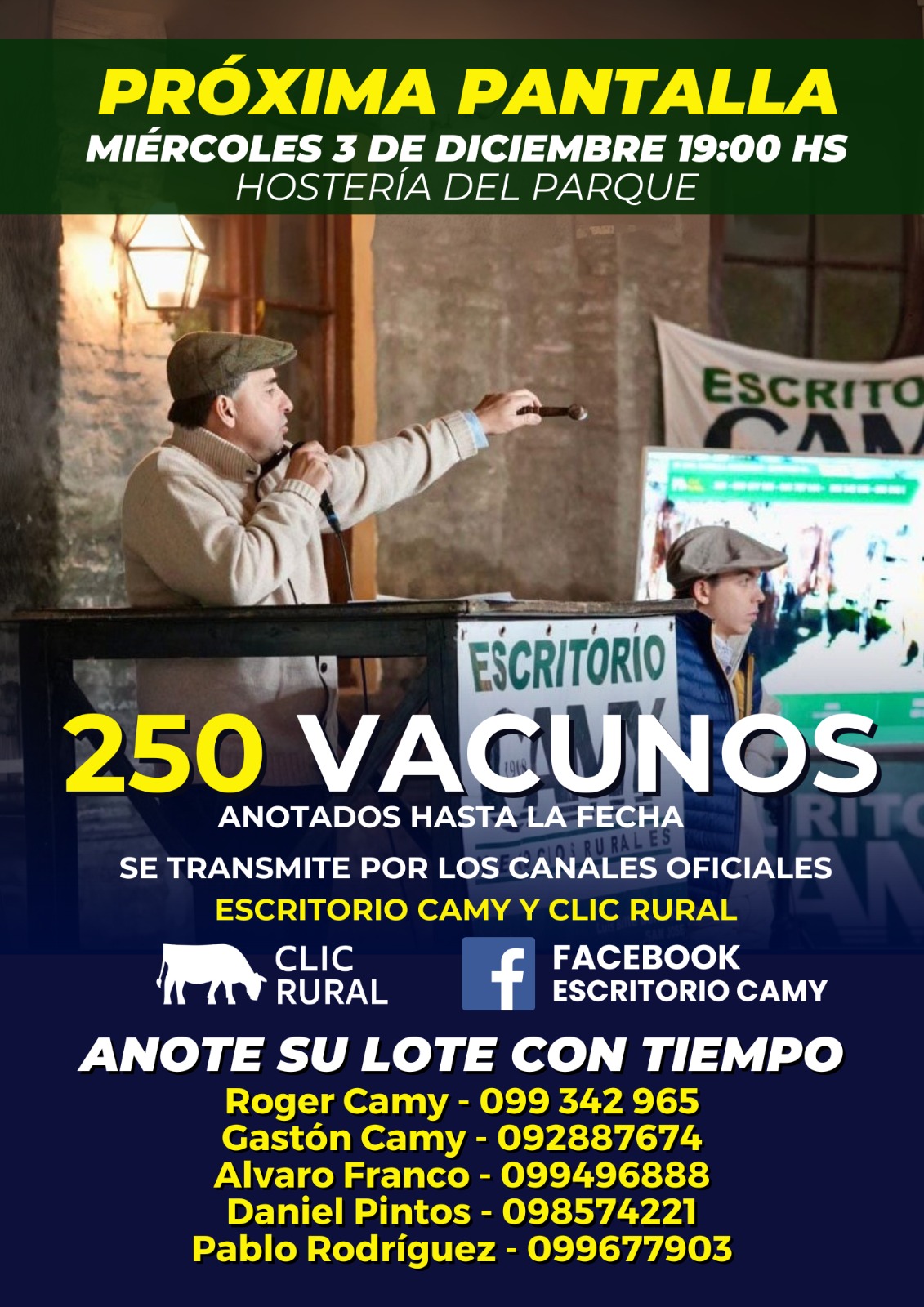 Remate Pantalla Camy