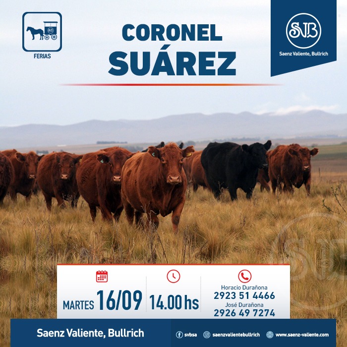 Feria en Cnel. Suarez