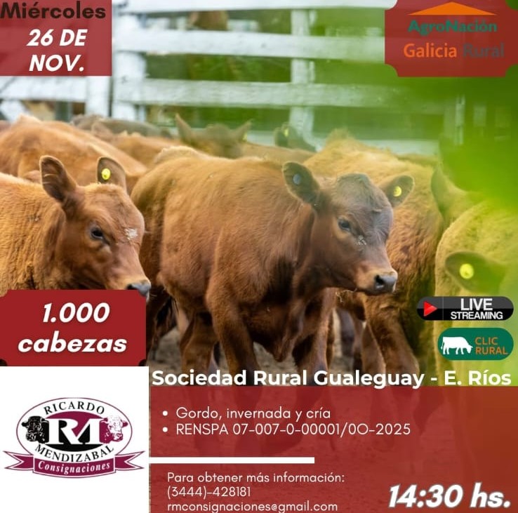 Remate 26 de Noviembre - Gualeguay