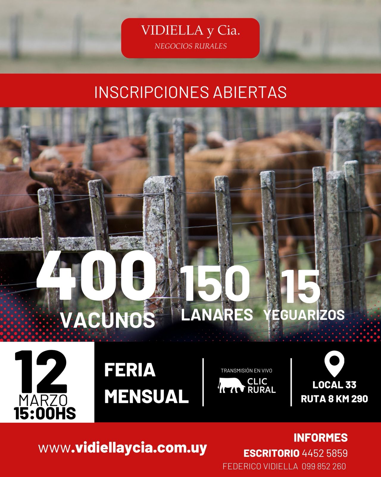 Remate Feria Mensual - Vidiella y Cia