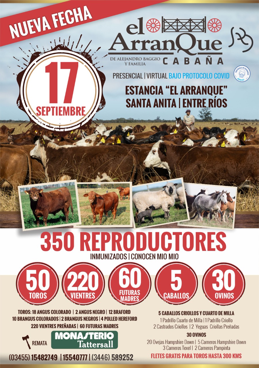 Afiche Cabaña El Arranque de Baggio