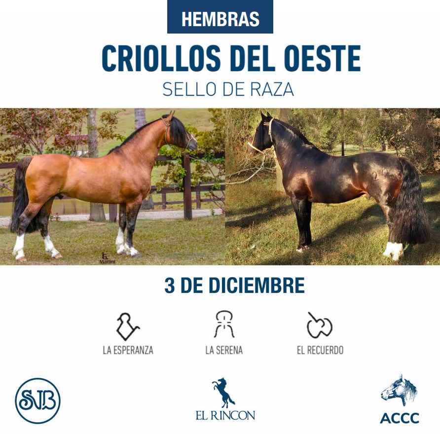 Criollos del oeste, sello de raza. Hembras