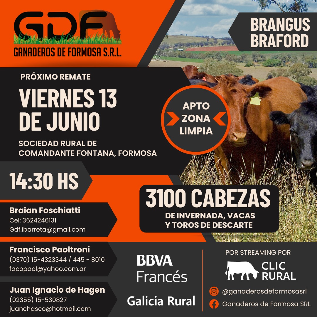 Remate 13 DE JUNIO - Comandante Fontana