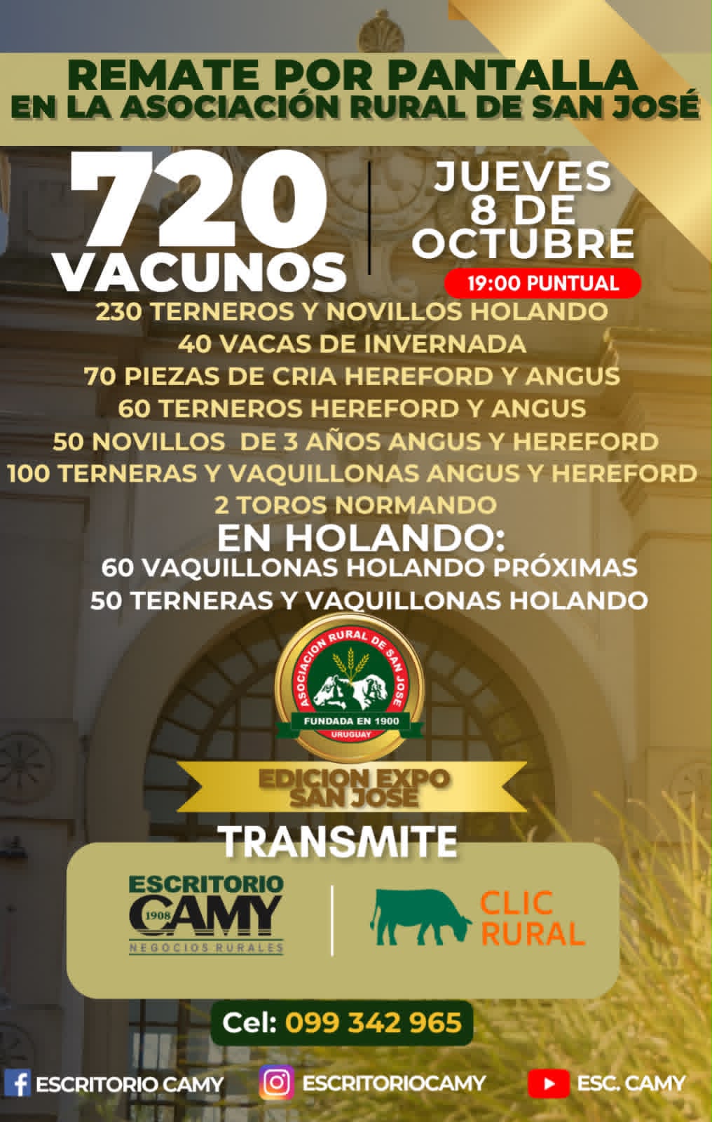 Afiche Pantalla Camy
